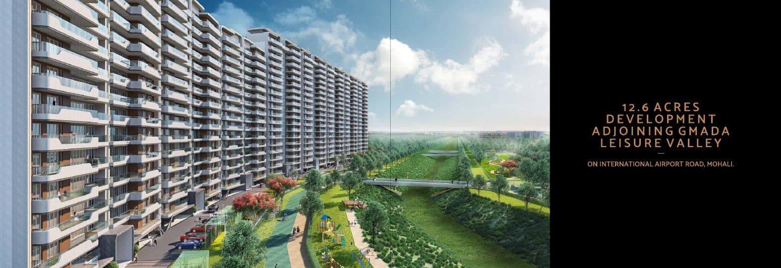 The Medallion Aurum