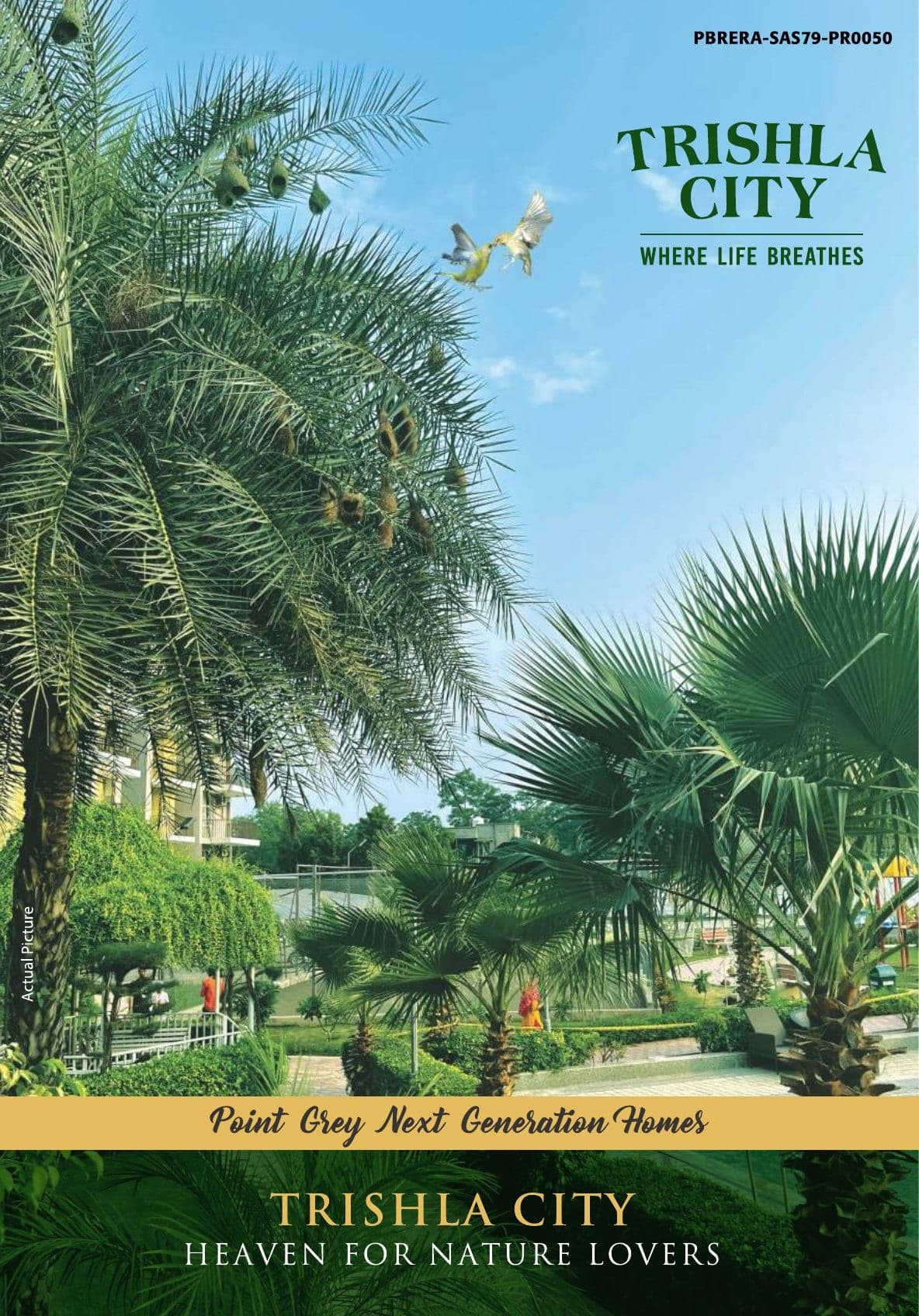 Trishla City