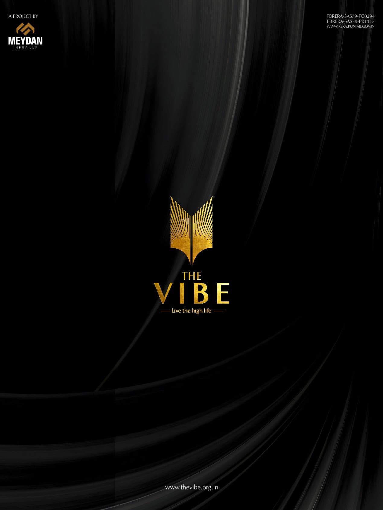 The Vibe