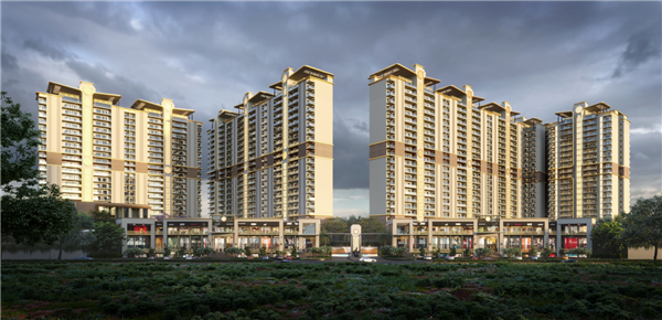 Affinity Belgravia